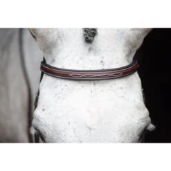 KL Select Italia Middleburg Hunter Bridle -Equestrian Supplies Shop 111101 03 KL Italia Brown Browband.Front