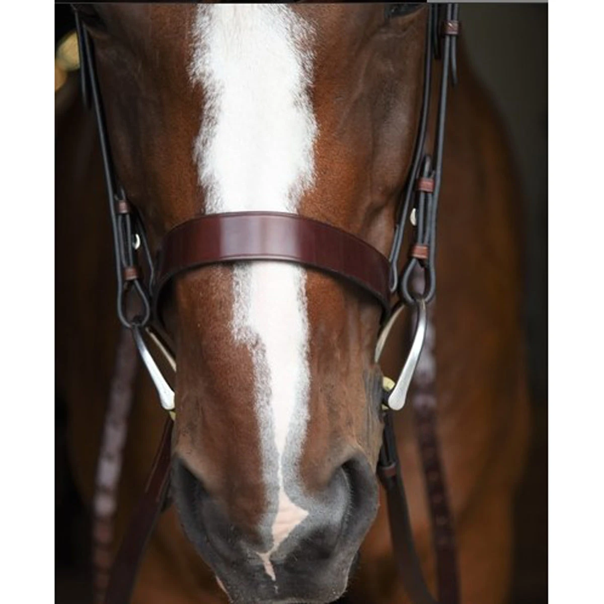 KL Select Italia Foxwell Hunt Bridle 5 KL Select Italia Foxwell Hunt Bridle - Image 3