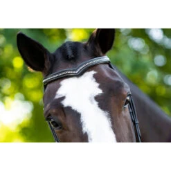 KL Select Italia Pirouette Bridle -Equestrian Supplies Shop 111114 KL Pirouette.Browband Black