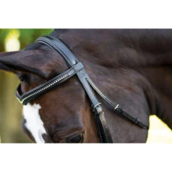KL Select Italia Pirouette Bridle -Equestrian Supplies Shop 111114 KL Pirouette.Headstall Black