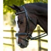 KL Select Italia Pirouette Bridle -Equestrian Supplies Shop 111114 KL Pirouette.Headstall Side Black