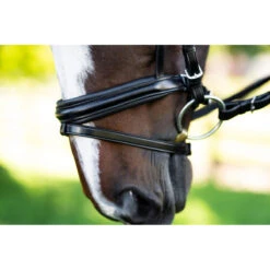 KL Select Italia Pirouette Bridle -Equestrian Supplies Shop 111114 KL Pirouette.Noseband Black