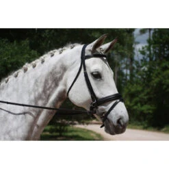 KL Select Italia Pirouette Bridle -Equestrian Supplies Shop 111114 KL Pirouette.Plain .Browband Black