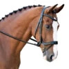 Black Oak Palm Ergonomic Dressage Bridle -Equestrian Supplies Shop 1121 KL.Select Black.Oak Palm.Ergonomic.Bridle Black.2