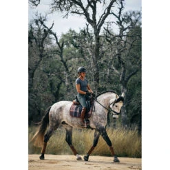 Sixteen Cypress Dressage Pad -Equestrian Supplies Shop 16C DP FP C 16Cypress Dressage.Pad Field.Plaid .Cognac Lifestyle