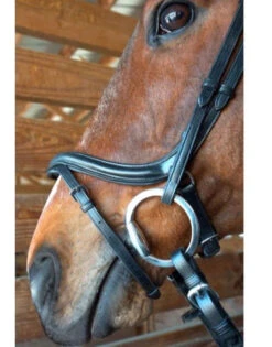 Nunn Finer A Forma Di Shaped Bridle -Equestrian Supplies Shop 2 30964.1524843942.1280.1280