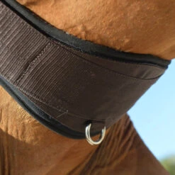 EquiFit Essential Schooling Girth -Equestrian Supplies Shop 32950 EquiFit Essential.Schooling.Girth SmartFabric4