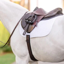 EquiFit Essential Schooling Girth -Equestrian Supplies Shop 32950 EquiFit Essential.Schooling.Girth SmartFabric5