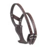Camelot Padded Wonder Crib Collar -Equestrian Supplies Shop 468761 ERS Camelot.Padded.WonderCrib