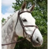 Red Barn By KL Select Equinox Figure 8 Bridle -Equestrian Supplies Shop 5116 KL Equinox.Bridle Brown Front