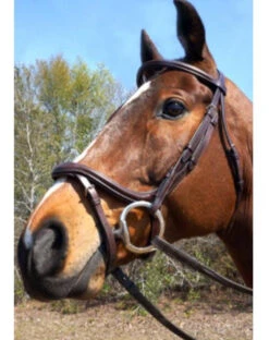 Nunn Finer A Forma Di Shaped Bridle -Equestrian Supplies Shop 5 07638.1524843942.1280.1280