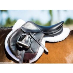 ThinLine Trifecta Half Pad With Sheepskin Rolls -Equestrian Supplies Shop 7416 trifecta.half .pad .w.sheepskin.rolls wht on.horse