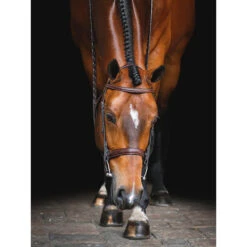 Equiline Scott Stewart Hunter Bridle 13 Equiline Scott Stewart Hunter Bridle -Equestrian Supplies Shop BJ150 EQline Scott.Stewart.Hunter.Bridle Brown IRL