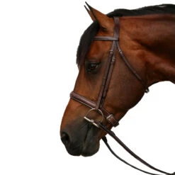 Equiline Scott Stewart Hunter Bridle 11 Equiline Scott Stewart Hunter Bridle -Equestrian Supplies Shop BJ150 EQline Scott.Stewart.Hunter.Bridle Brown Side