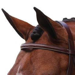 Equiline Scott Stewart Hunter Bridle 12 Equiline Scott Stewart Hunter Bridle -Equestrian Supplies Shop BJ150 EQline Scott.Stewart.Hunter.Bridle Brown Top