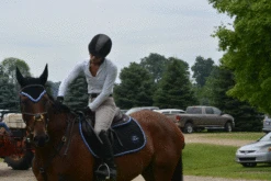 Ogilvy Jump Profile Pad - Custom -Equestrian Supplies Shop DSC 0833 700466