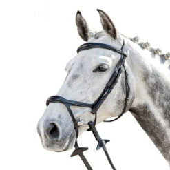 Prestige 3E143 Bridle With Double Drop Noseband