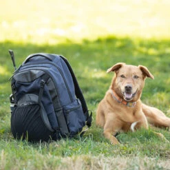 Kerrits EQ Backpack -Equestrian Supplies Shop EQBackPack 30444 Black2