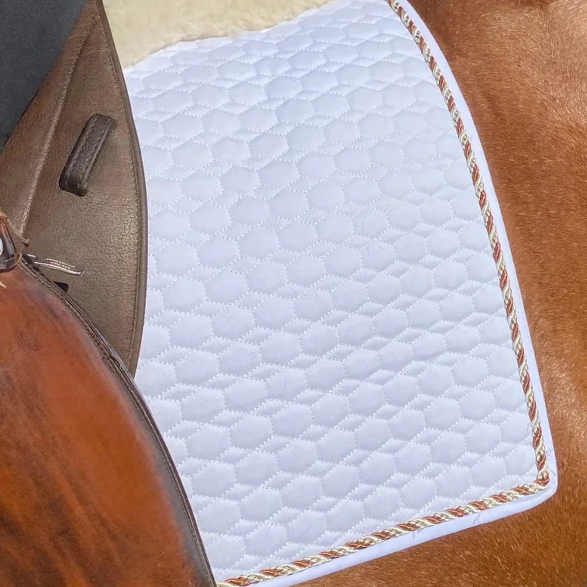 Halter Ego European Cotton Saddle Pad 9 Halter Ego European Cotton Saddle Pad - Image 7