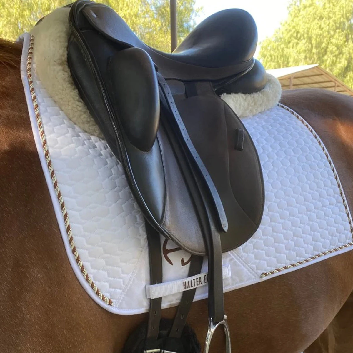 Halter Ego European Cotton Saddle Pad 10 Halter Ego European Cotton Saddle Pad - Image 8