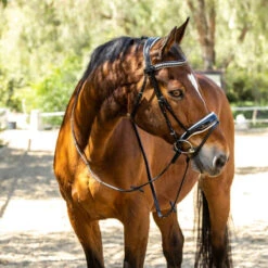 Halter Ego Calisa Patent Snaffle Bridle With White Padding