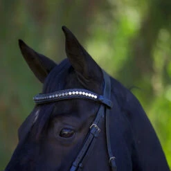 Halter Ego Doc Marten Snaffle Bridle -Equestrian Supplies Shop Halter.Ego Doc.Marten.Snaffle.Bridle Black 4