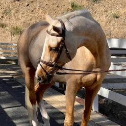 Halter Ego Halifax Hunter Bridle -Equestrian Supplies Shop Halter.Ego Halifax.Hunter.Bridle 2