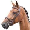 Jump'in Thursday Bridle - Week Collection -Equestrian Supplies Shop Jump.In Thursday.Bridle.1
