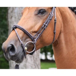 Jump'in Thursday Bridle - Week Collection -Equestrian Supplies Shop Jump.In Thursday.Bridle.3