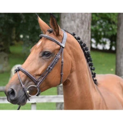 Jump'in Thursday Bridle - Week Collection -Equestrian Supplies Shop Jump.In Thursday.Bridle.4