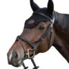 Jump'in Tuesday Bridle - Week Collection -Equestrian Supplies Shop Jump.In Tuesday.Bridle.2