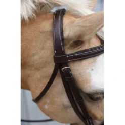 Red Barn By KL Select Icon Hunter Bridle -Equestrian Supplies Shop KL.Select Icon.Bridle Detail