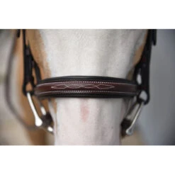 Red Barn By KL Select Icon Hunter Bridle -Equestrian Supplies Shop KL.Select Icon.Bridle Detail.2