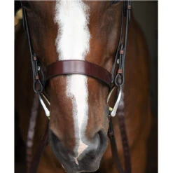 Black Oak By KL Select Foxtrot Hunt Bridle 9 Black Oak By KL Select Foxtrot Hunt Bridle -Equestrian Supplies Shop KL 1118 FoxtrotHunter2