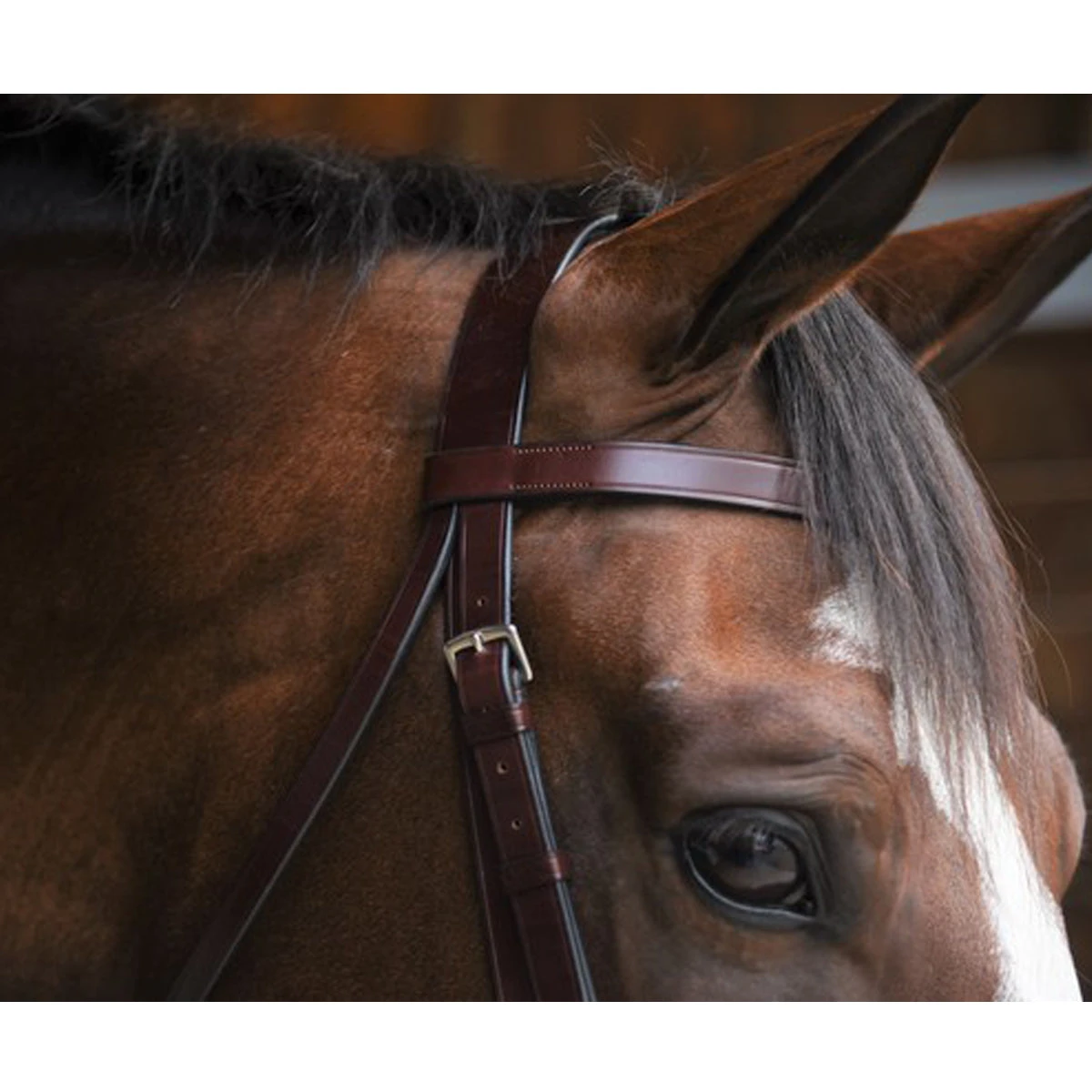 Black Oak By KL Select Foxtrot Hunt Bridle 6 Black Oak By KL Select Foxtrot Hunt Bridle - Image 4