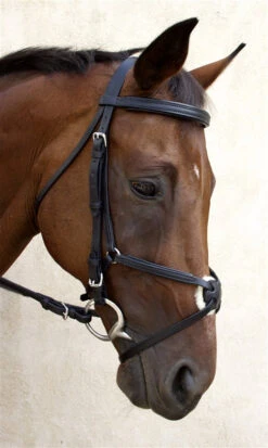 Nunn Finer Fair Hill Figure 8 Bridle -Equestrian Supplies Shop NF8EB 6T