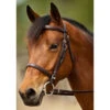 Nunn Finer Event Bridle -Equestrian Supplies Shop NFEB 2T