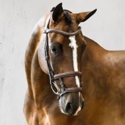 PS Of Sweden Paris Bridle