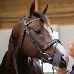 Penelope Daily Bridle -Equestrian Supplies Shop Pen Daily 1