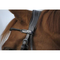 Penelope Point Sellier Bridle -Equestrian Supplies Shop Pen Sellier 2