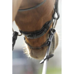 Penelope Point Sellier Bridle -Equestrian Supplies Shop Pen Sellier 4