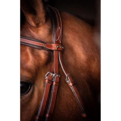 Penelope US Bridle -Equestrian Supplies Shop Pen US 3