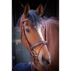 Penelope US Bridle -Equestrian Supplies Shop Pen US 5