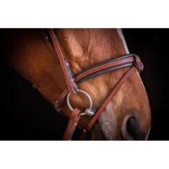 Penelope US Bridle -Equestrian Supplies Shop Pen Us 2