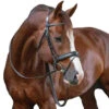 Penelope Daily Bridle -Equestrian Supplies Shop Penelope Daily.Bridle