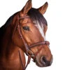 Penelope US Bridle -Equestrian Supplies Shop Penelope US.Bridle 1