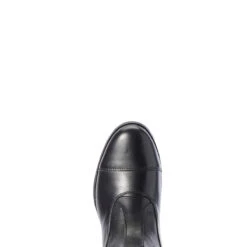 Ariat Women's Nitro Max Tall Riding Boot -Equestrian Supplies Shop S20 WMS ENGL Couto 10031676 toe