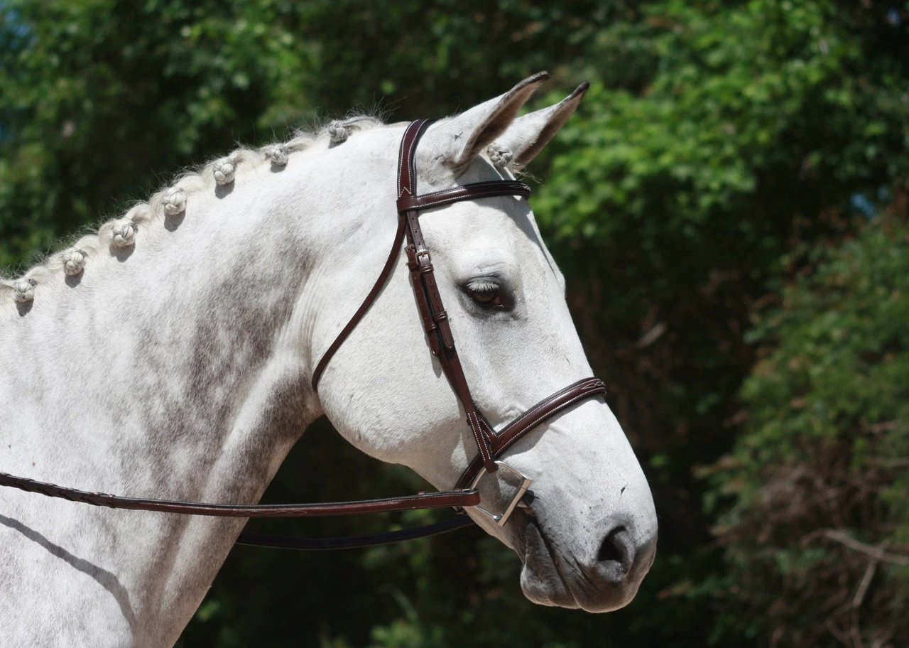Red Barn By KL Select Synergy Hunter Bridle 4 Red Barn By KL Select Synergy Hunter Bridle - Image 2