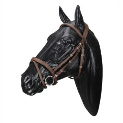 Wintec English Bridle With Flash Noseband -Equestrian Supplies Shop WABRICBRN