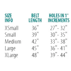 Perri's Padded Leather Belt 13 Perri's Padded Leather Belt -Equestrian Supplies Shop belt size chart 00294.1588165726.1280.1280